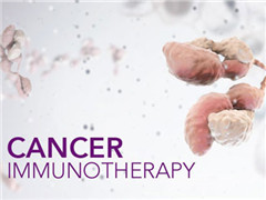 癌症生存的超人：免疫治疗怎样改写着肿瘤学