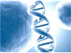 癌症基因检测指导阿西替尼治疗肾细胞癌