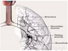 肺癌的精准医疗