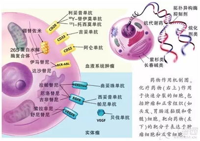 QQ图片20151216154244