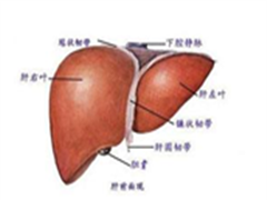 【新药】瑞戈非尼（regorafenib）二线治疗晚期肝细胞肝癌（HCC）有效！