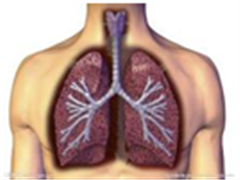 小细胞肺癌（SCLC）新药取得突破性进展