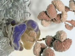 Nature重大突破：创新性癌症免疫疗法