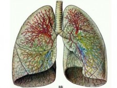2017年，肺癌怎么治？