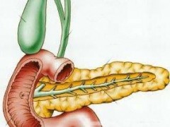 糖尿病患者患胰腺癌的几率是正常人群的２倍