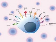 OPDIVO®（nivolumab）和OPDIVO +YERVOY®（ipilimumab）治疗方案的安全性信息和常见副作用