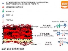 尼达尼布在肺癌治疗中的三重抗血管生成机制！