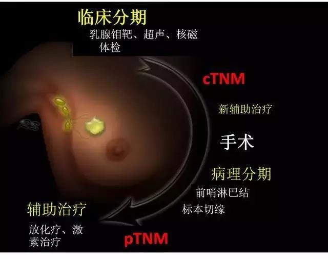 微信图片_20180227114205