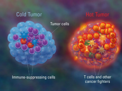 冷肿瘤VS热肿瘤：免疫治疗也要“温度”！