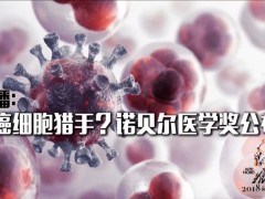 2018诺贝尔医学奖揭晓！全面揭秘癌细胞猎手——癌症免疫疗法！