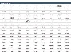 foundation基因检测的基因列表