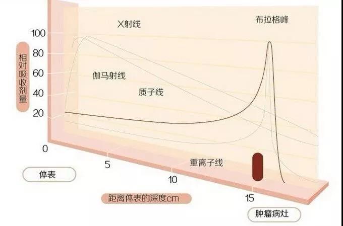 微信图片_20181205123037