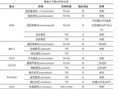 盘点｜胃癌用药方案新研究及新进展