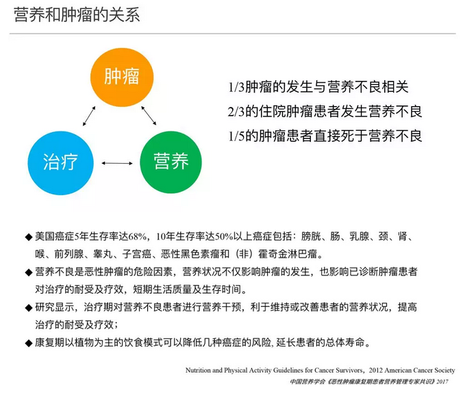 营养指南