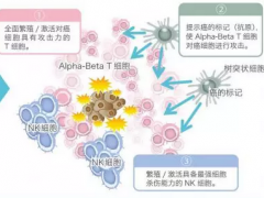 直播预告|国内癌症患者热衷的日本免疫细胞疗法有哪些先进之处？