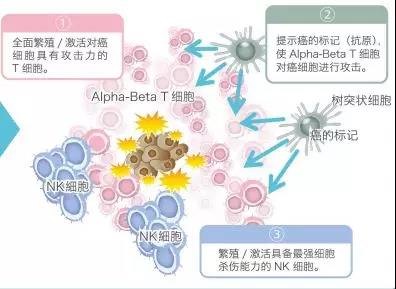 微信图片_20190109134815