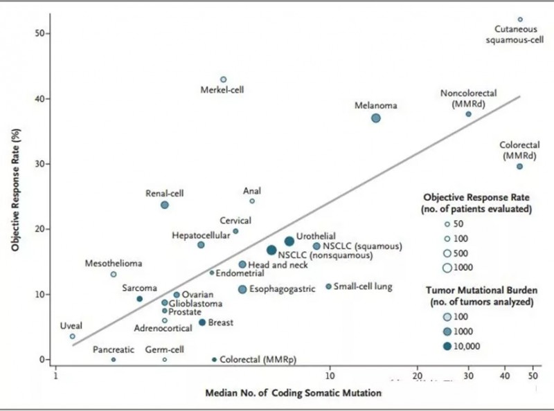 TMB越大，PD-1药无进展生存率就越高