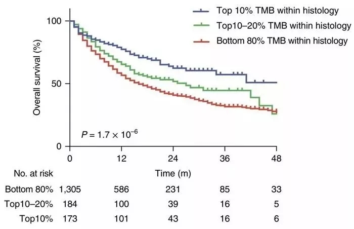 TMB与总体存活率对比