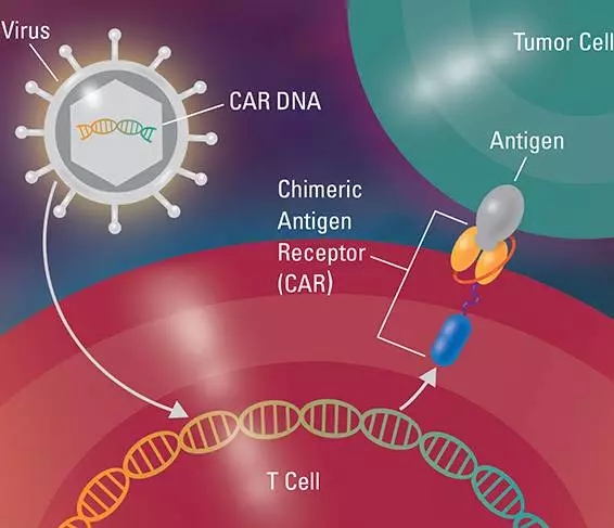 CAR-T细胞疗法的原理