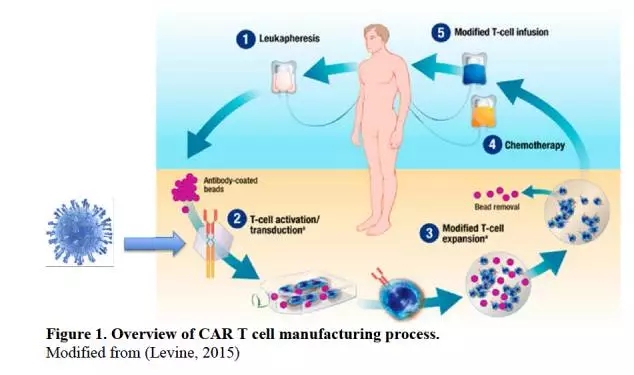 CAR-T的生产制备过程