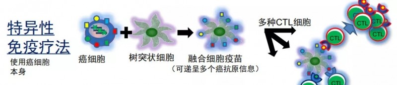 特异性免疫疗法