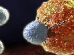 抗癌王道！配备杀癌效果的免疫细胞，才能剿灭毒瘤