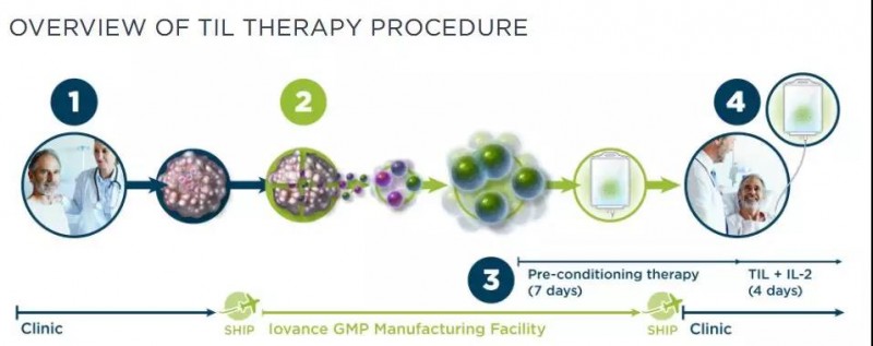 TIL治疗流程