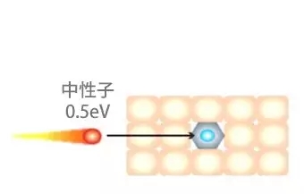 中子束照射肿瘤部位