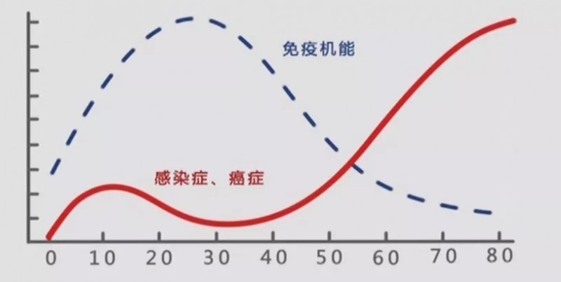 NK细胞比例越高越不容易得癌症