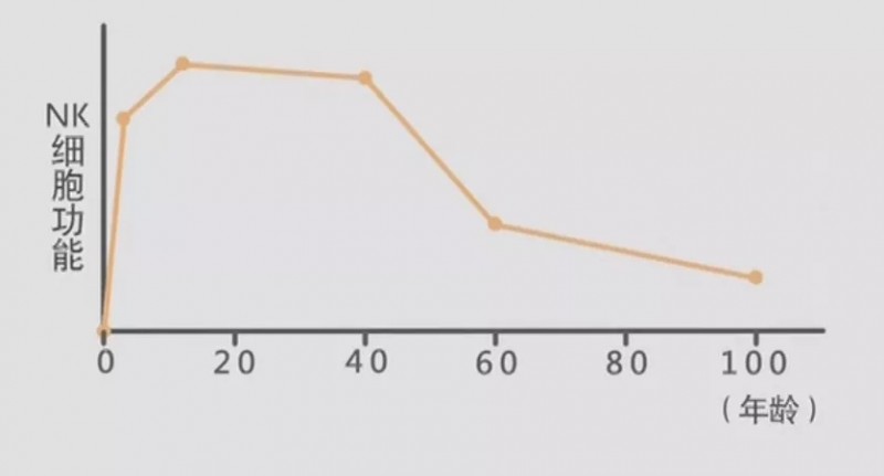 NK细胞数量随年龄的增长而降低