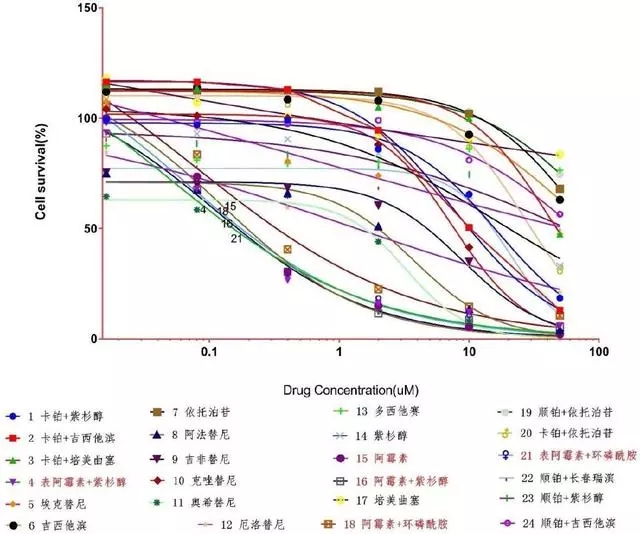 药物筛选疗效图