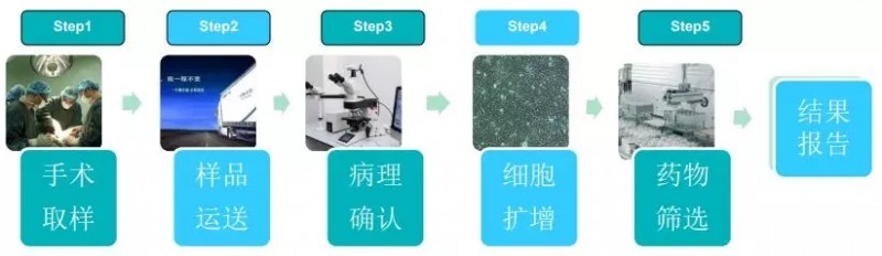 药物筛选流程