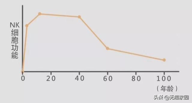 nk细胞数量随着年龄变化