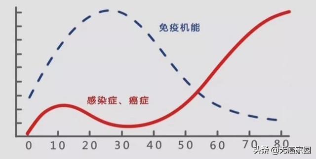 NK细胞比例越高越不容易得癌症