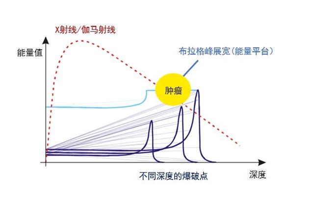 X射线和伽马射线