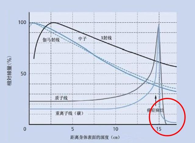 伽马射线、中子、X射线