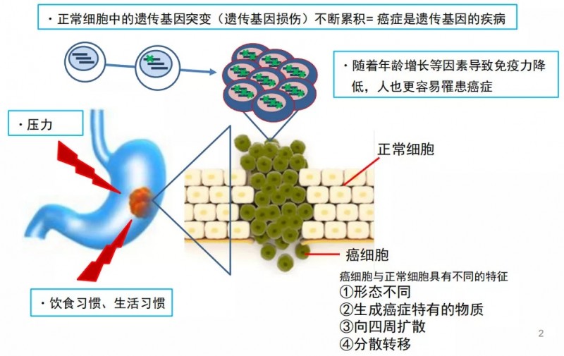 癌症的形成