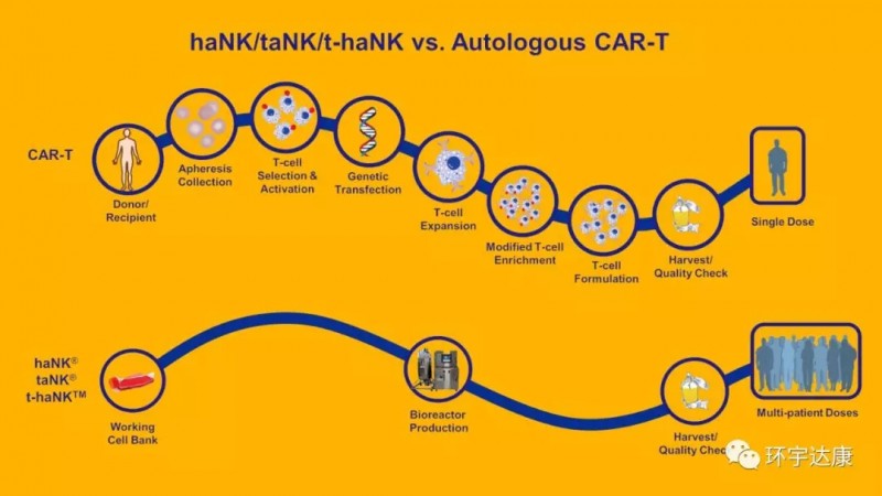 aNK细胞疗法对比CAR-T疗法的优势