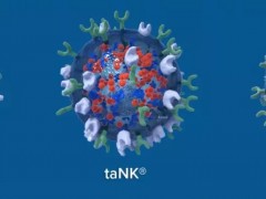 NK细胞免疫疗法,NK细胞治疗,NK细胞疗法