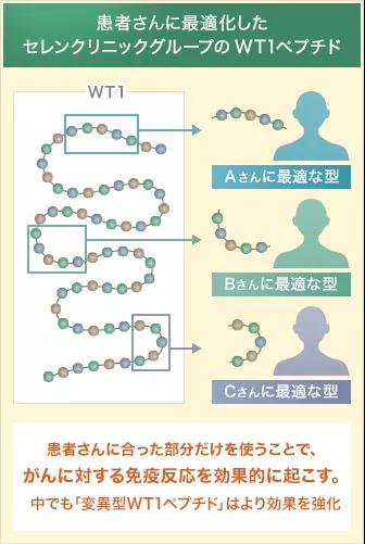 日本WT1肽抗原树突细胞疫苗