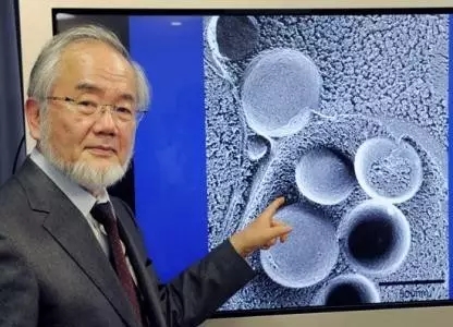 日本细胞免疫治疗专家