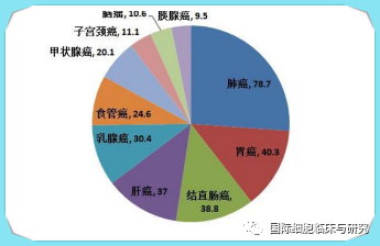 我国公布的前十位癌症发病人数(万)