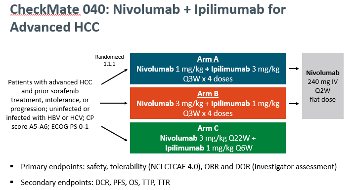 III CheckMate-040研究试验设计方案