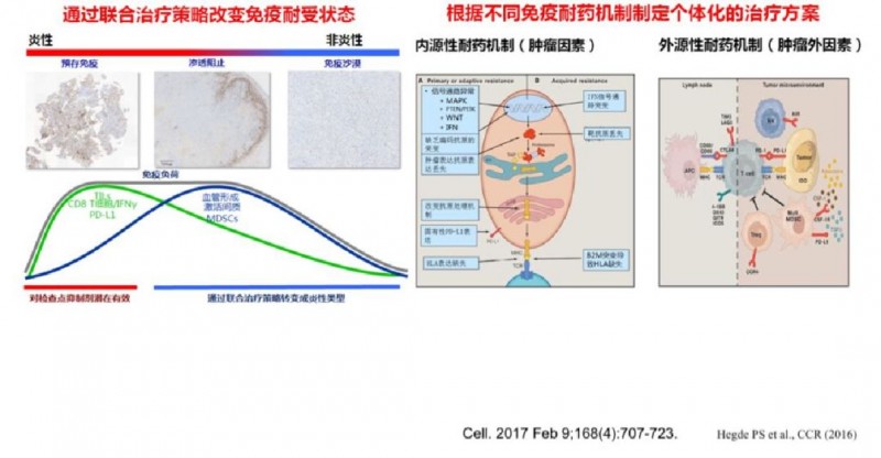 PD-1耐药后治疗