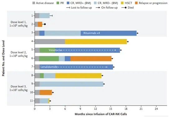 CAR-NK疗法治疗效果