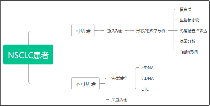 根据肿瘤标本评估患者的基因突变情况