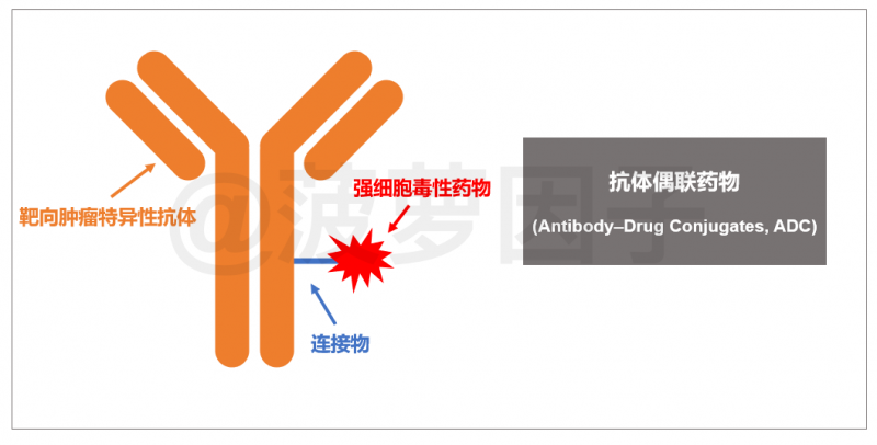 抗体偶联药物