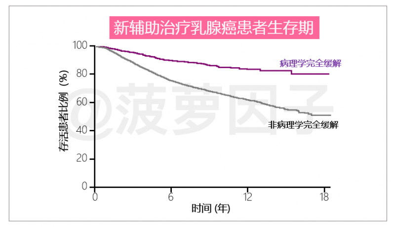 新辅助治疗乳腺癌患者生存期