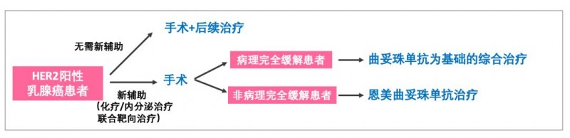 有无新辅助化疗乳腺癌患者治疗对比