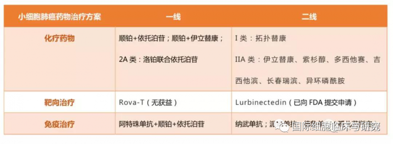 小细胞肺癌药物治疗方案
